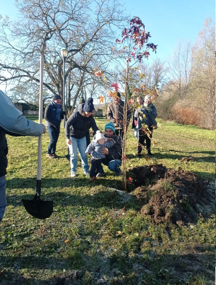 Une Naissance, un Arbre